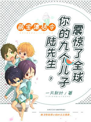 书名:萌宝集结令 :陆先生,你的九个儿子震惊了全球