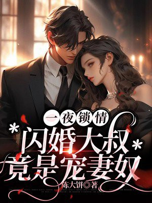 一夜京孕闪婚大叔