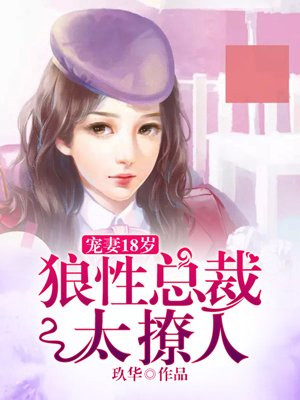 宠妻十八岁狼性总裁太撩人