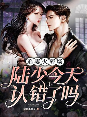陆总追妻火葬场苏诺