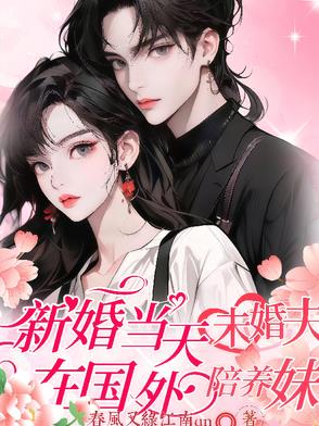 新婚当天,未婚夫在国外陪养妹小说