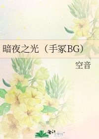 hp暗夜之光