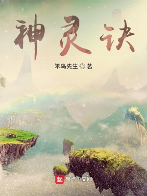神灵诀 笨鸟先生