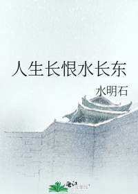 人生长恨水长东啥意思