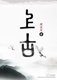 上古卷轴4