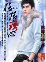极限 小说