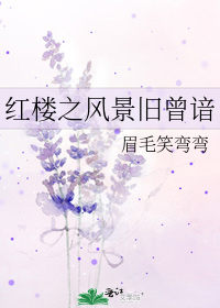 红楼之风景旧曾谙女主有几个