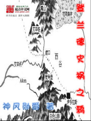 登兰德灾祸之鸦写的什么
