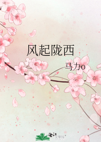 风起陇西讲的什么故事