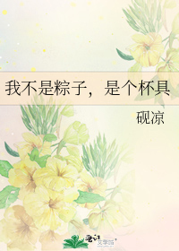 我不是粽子,是个杯具免费阅读