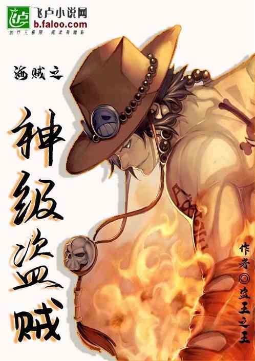 海贼之神级盗取