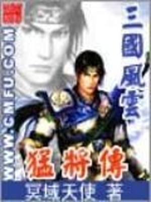 三国风云之猛将传续写