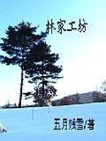 林家工坊免费阅读