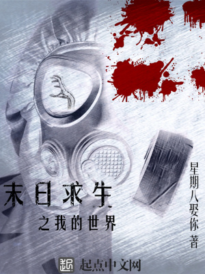 末日求生之我的世界小说