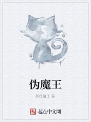 伪魔王和勇者囚禁小说