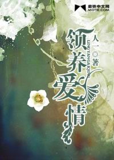 领养爱情 小说