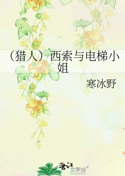 西索与电梯小姐 txt