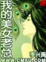 我的美女老总续集全文阅读免费