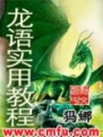 龙语实用教程百度网盘