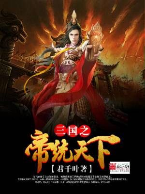 三国之帝统天下小说