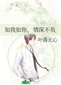 知我如你,情深不负(共2册) 叶落无心