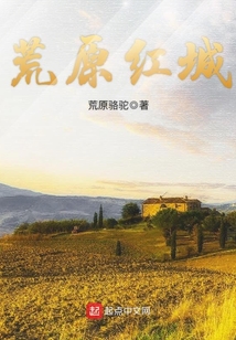 荒原红城书籍