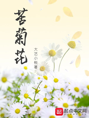 苦菊花的功效与作用禁忌
