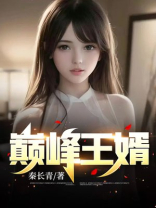 巅峰王婿 秦长青
