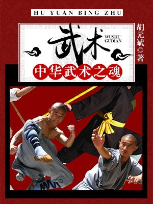 中华武术和武术的区别
