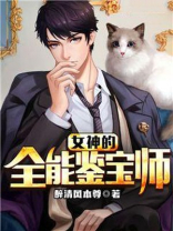 女神的全能鉴宝师 小说