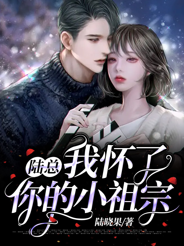 陆总我怀了你的小祖宗短剧