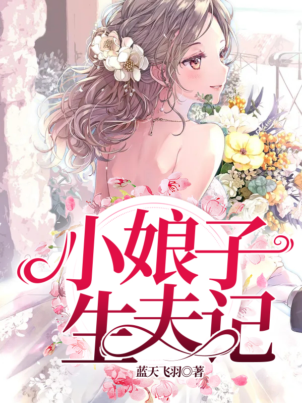 小娘子训夫记小说