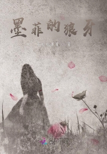 墨菲定律老高
