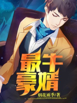 最牛豪婿 烟花雨季