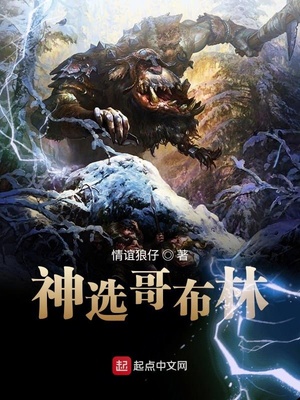 神选哥布林TXT全集下载