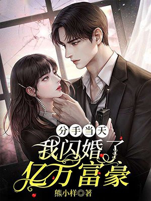 小说分手当天我闪婚了亿万富豪