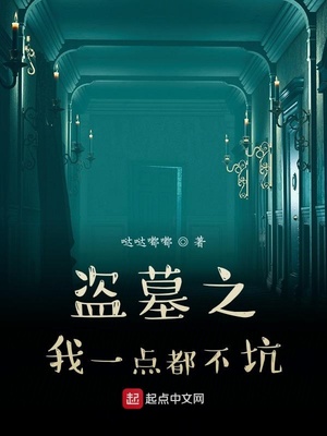 盗墓之我一点都不坑 小说