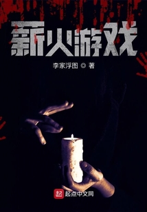 薪火游戏类似小说