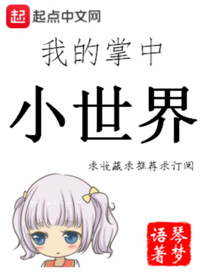 我的掌中小世界笔趣趣