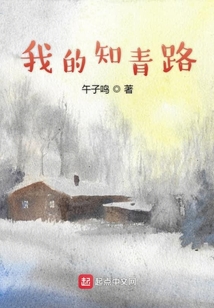 我的知青路笔趣阁