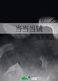 当当当铺