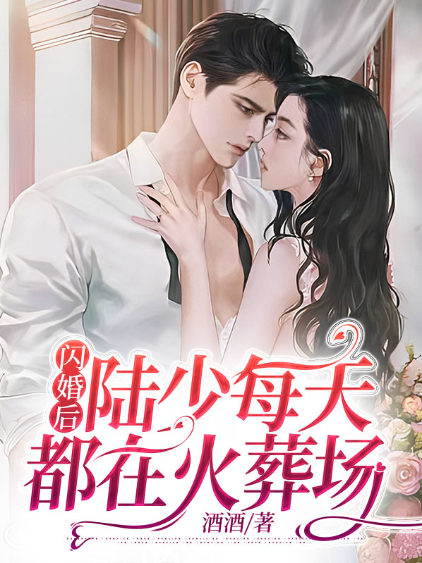 陆少的闪婚新妻