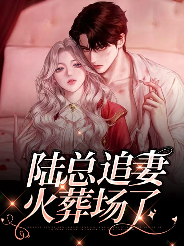陆总追妻很别致