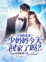 闪婚成宠少奶奶今天回家了吗全文免费阅读