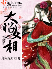 大昭女相讲的什么