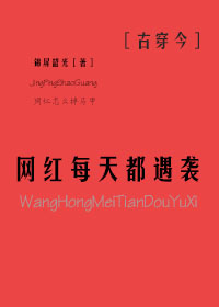 网红每天都遇袭古穿今txt