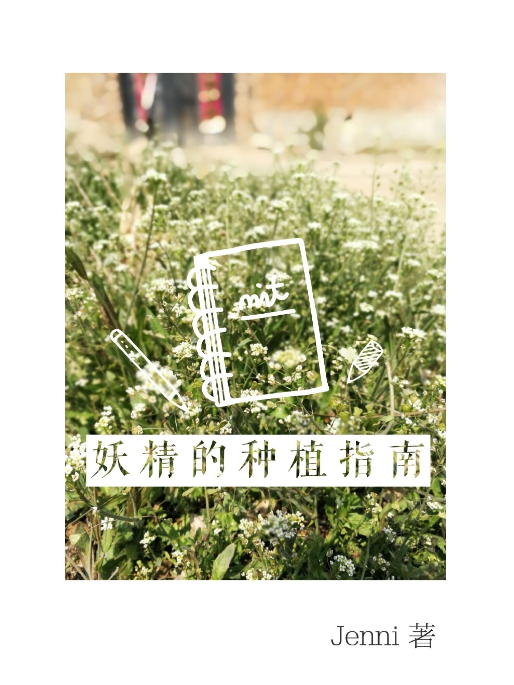 妖精的种植指南