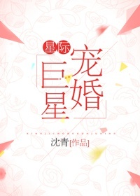 星际宠婚巨星沈青TXT下载