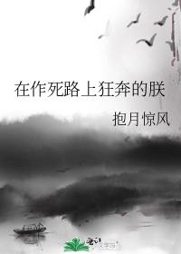 在作死路上狂奔的朕有男主吗