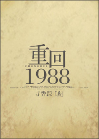 重回1988陆峰小说